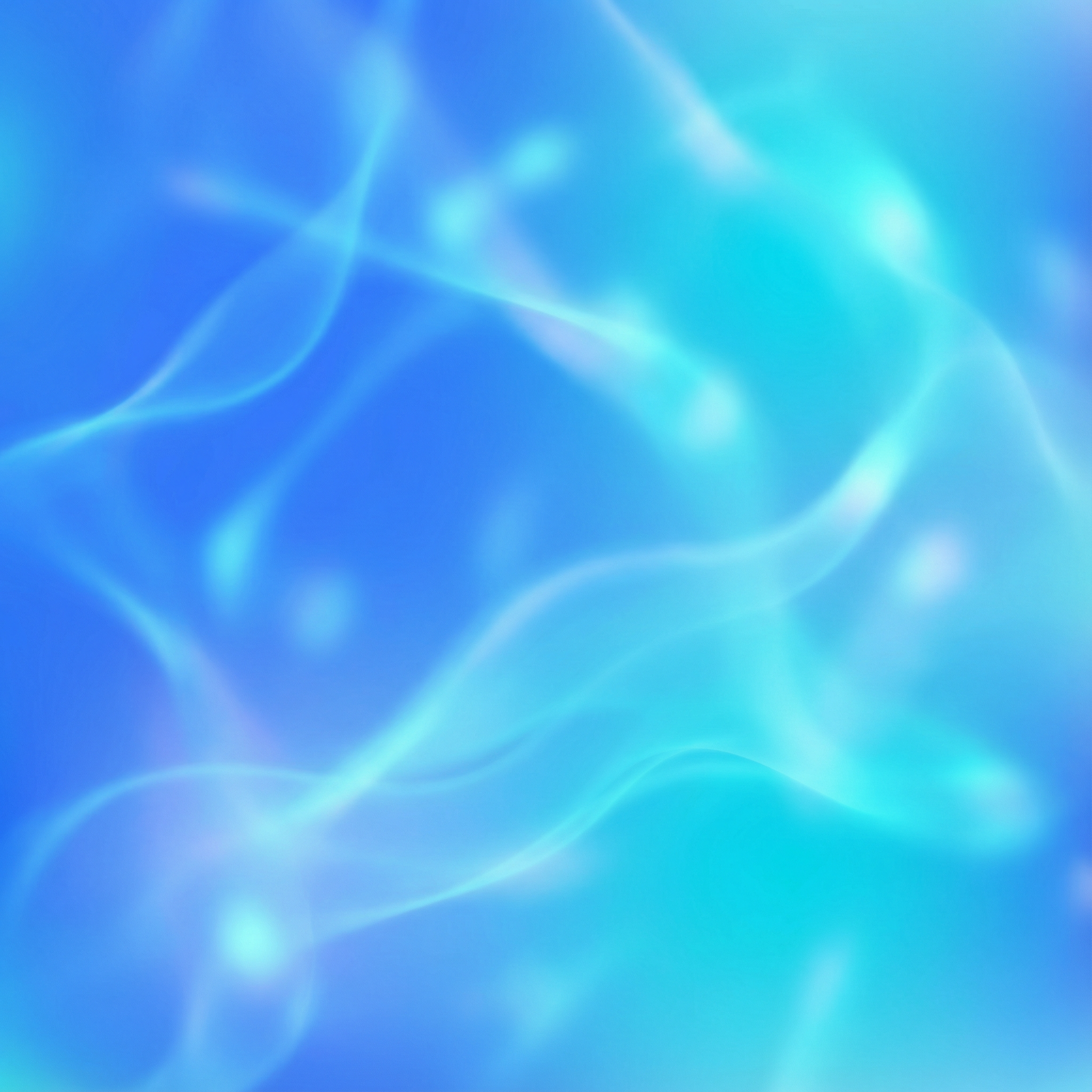 New construction project